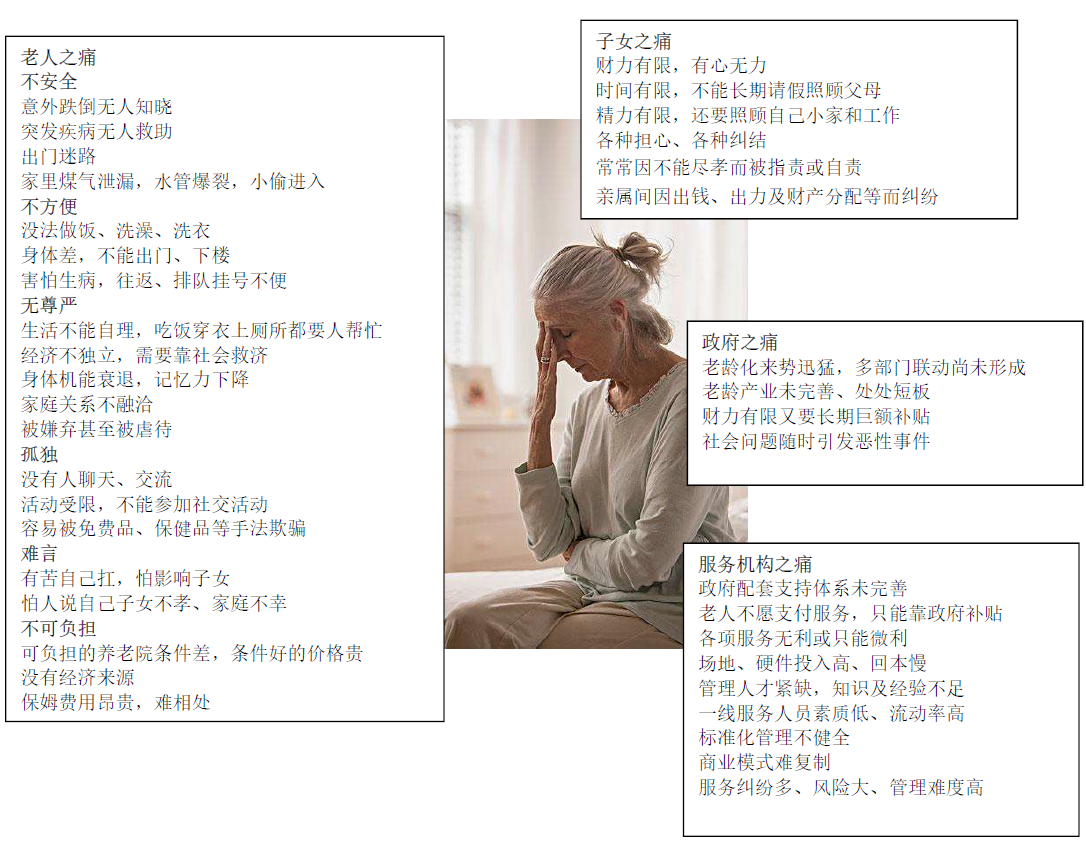 新导居家监护系统解决方案(图1)